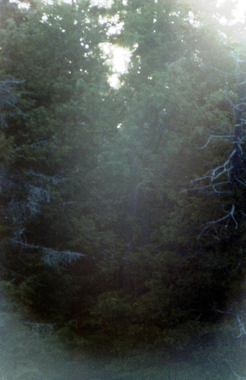 Brume matinal Nominigue 1977