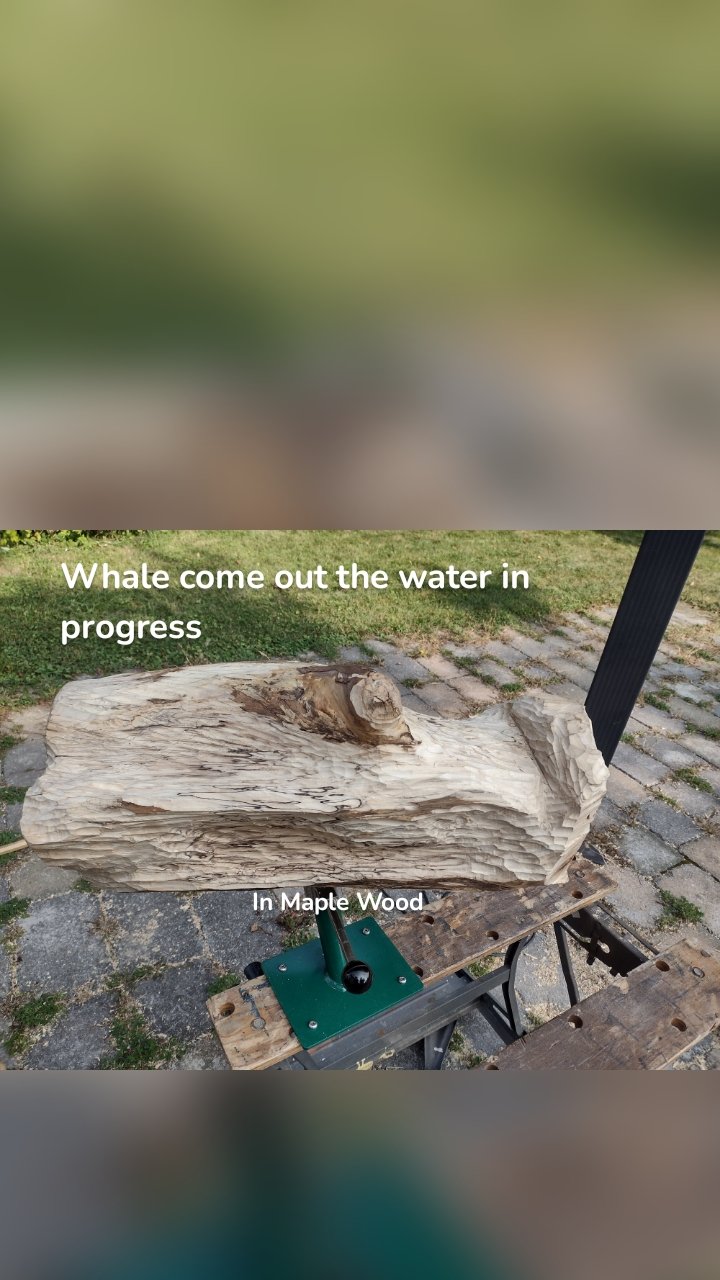 Whale come out the water in progress  In Maple Wood 