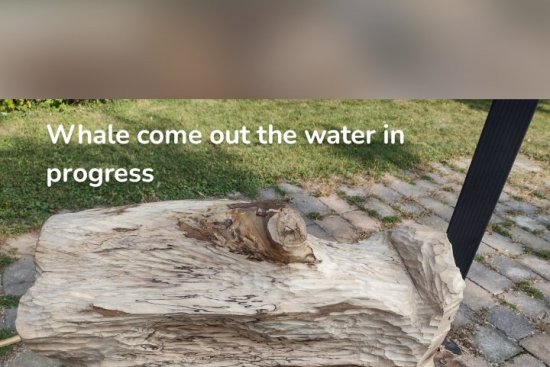 Whale come out the water in progress In Maple Wood