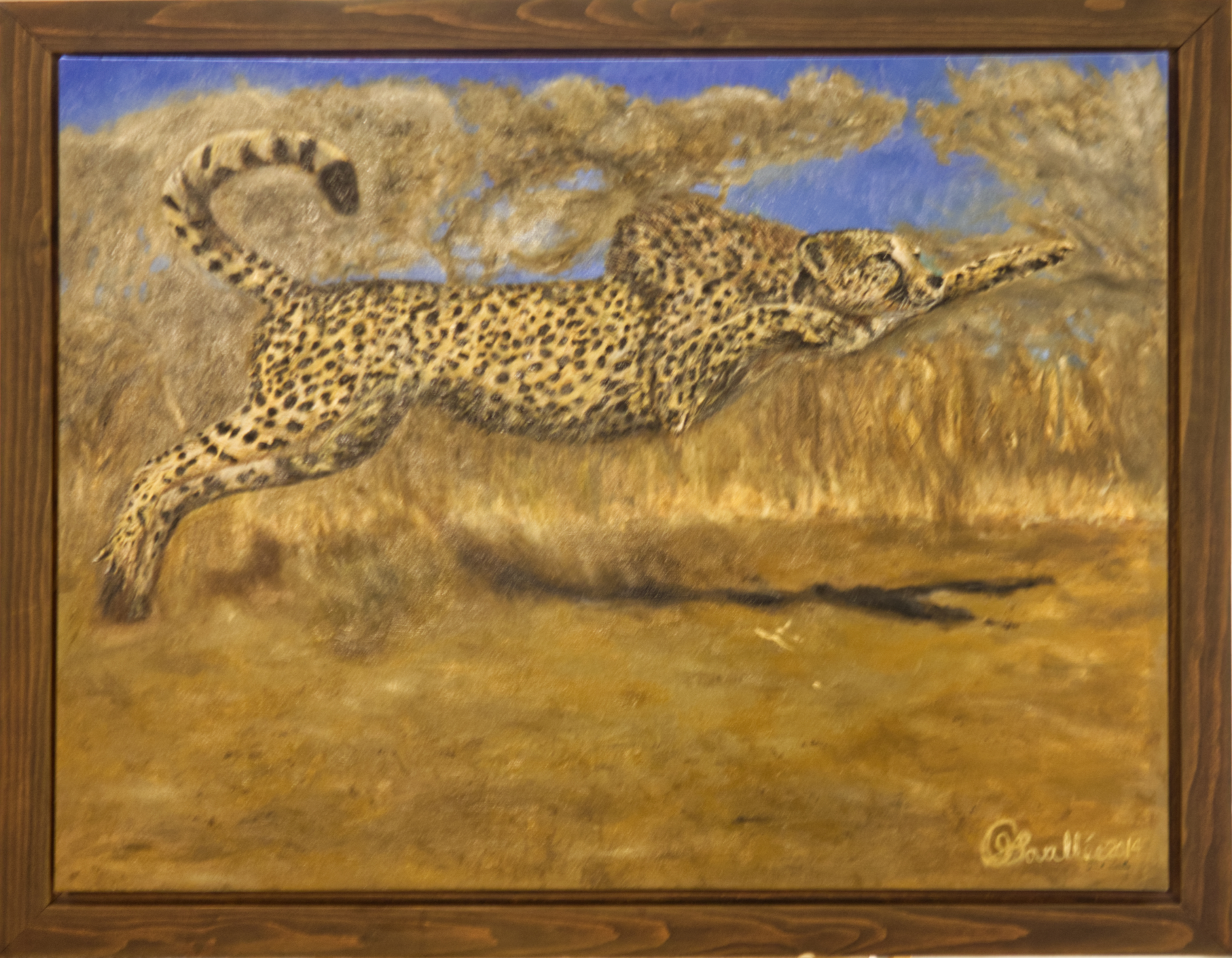 Saute sur l'occasion